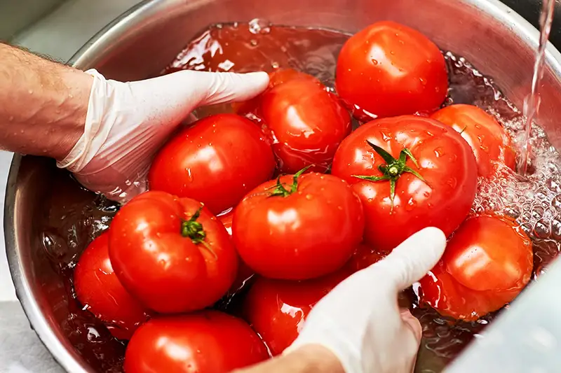 frische Tomaten waschen frische Tomaten waschen